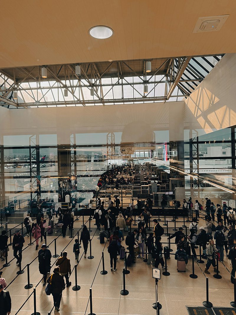 Airline Security & TSA